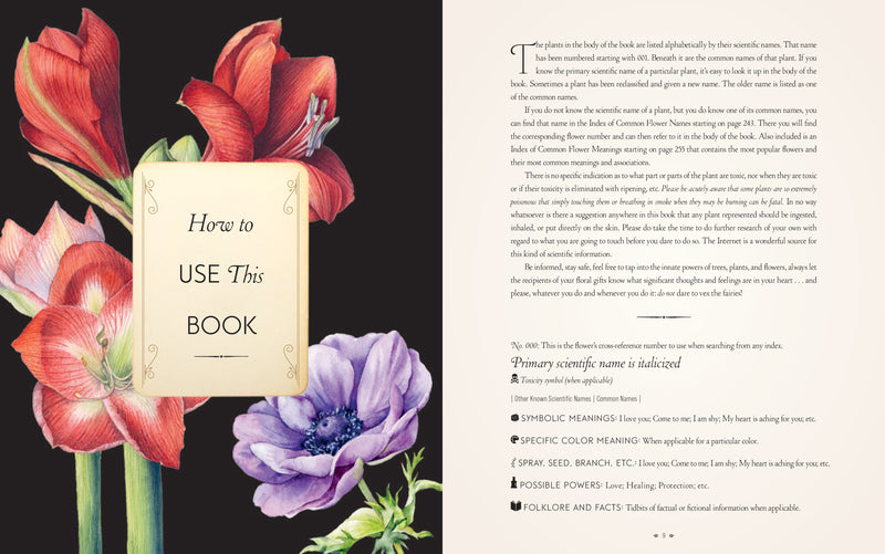 S. Theresa Dietz - Complete Language Of Flowers