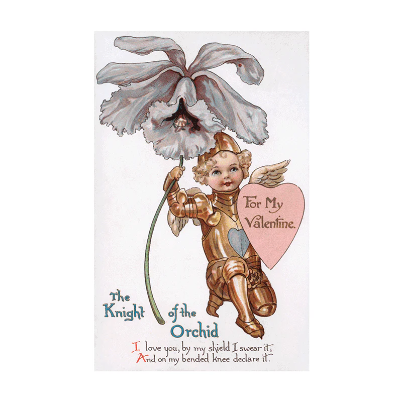 Laughing Elephant - Victorian Valentine Postcard Book - 30 Unique Vintage Postcards