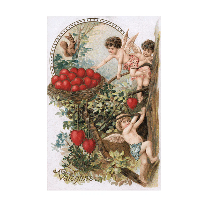 Laughing Elephant - Victorian Valentine Postcard Book - 30 Unique Vintage Postcards