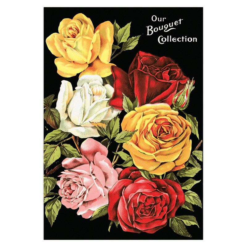 Antique Roses Postcard Box - Everyday Boxed Postcards - Root & Company