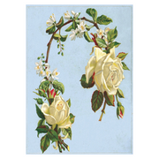 Antique Roses Postcard Box - Everyday Boxed Postcards - Root & Company