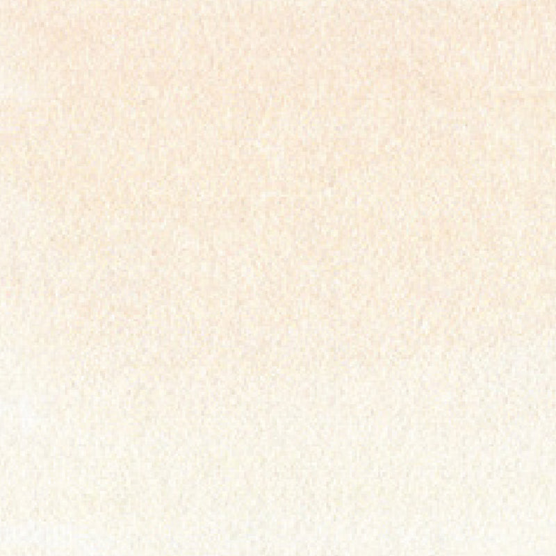 ZIG Kuretake - ZIG Clean Color Real Brush No. 002