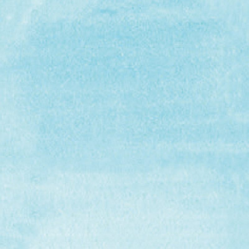 ZIG Kuretake - ZIG Clean Color Real Brush No. 036