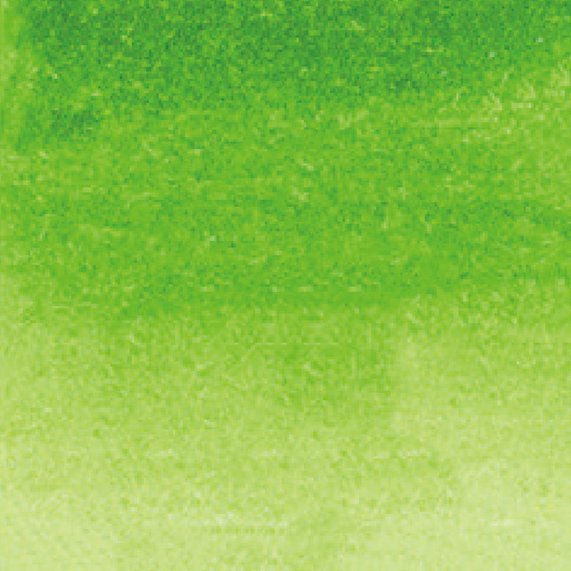 ZIG Kuretake - ZIG Clean Color Real Brush No. 041