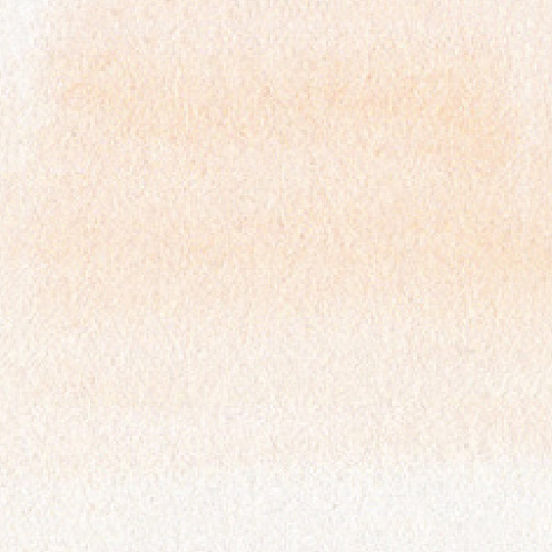 ZIG Kuretake - ZIG Clean Color Real Brush No. 076