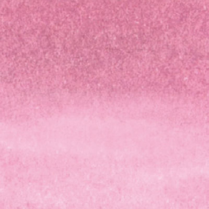 ZIG Kuretake - ZIG Clean Color Real Brush No. 204