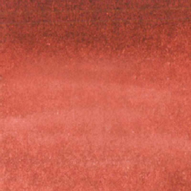 ZIG Kuretake - ZIG Clean Color Real Brush No. 208