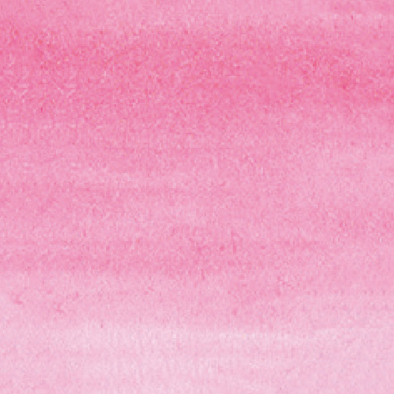 ZIG Kuretake - ZIG Clean Color Real Brush No. 222