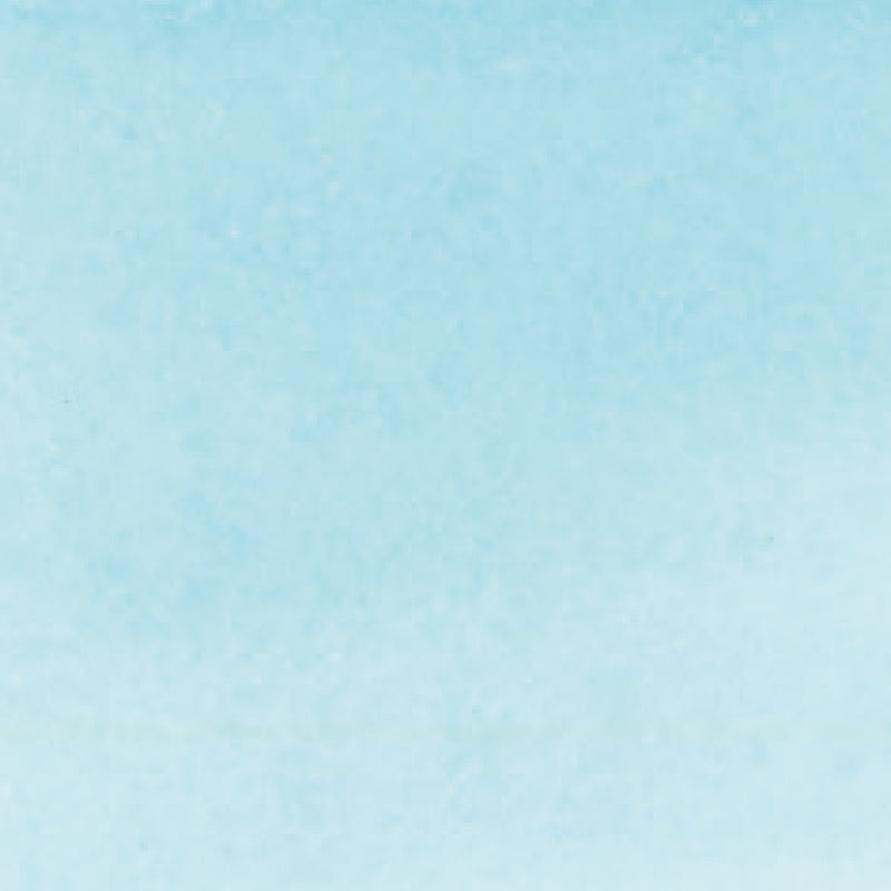 ZIG Kuretake - ZIG Clean Color Real Brush No. 301