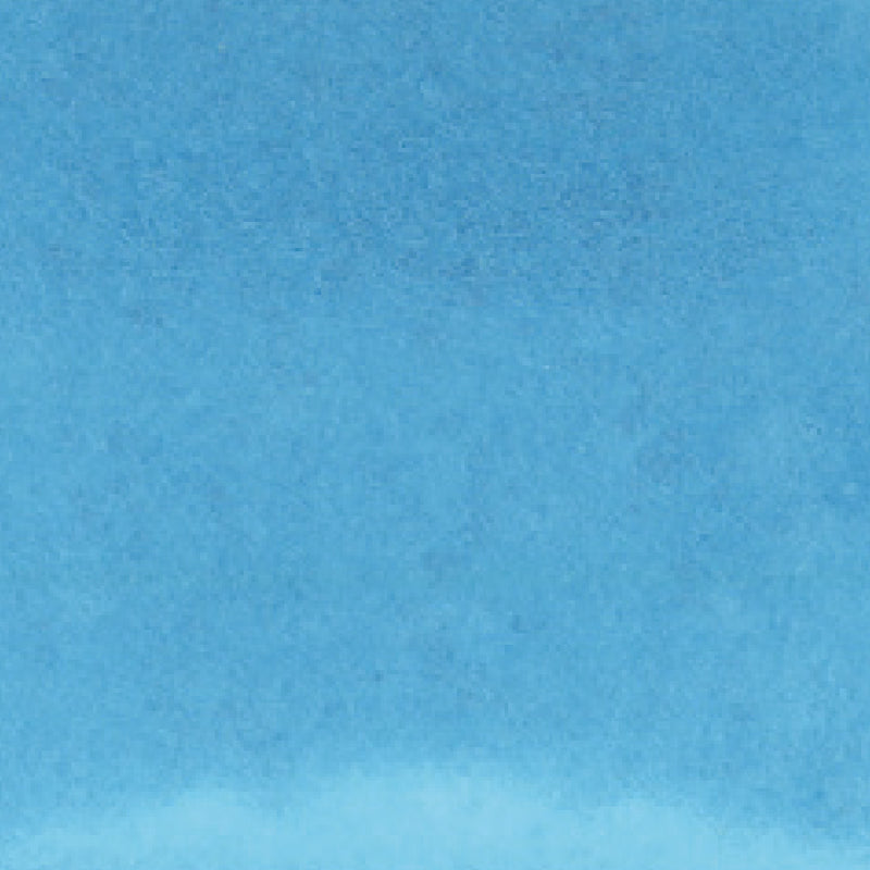 ZIG Kuretake - ZIG Clean Color Real Brush No. 308