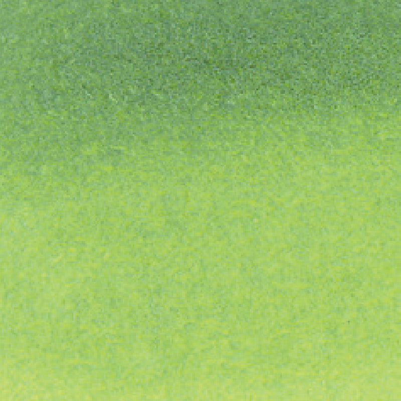 ZIG Kuretake - ZIG Clean Color Real Brush No. 406