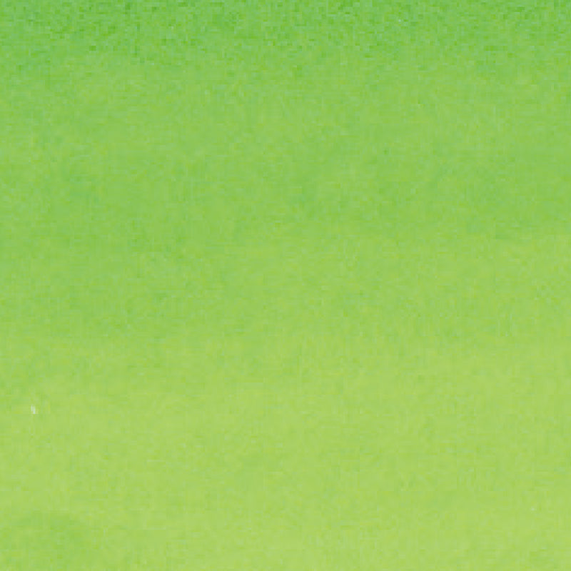 ZIG Kuretake - ZIG Clean Color Real Brush No. 409