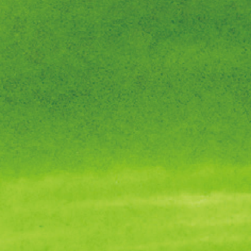 ZIG Kuretake - ZIG Clean Color Real Brush No. 410