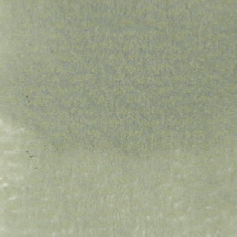 ZIG Kuretake - ZIG Clean Color Real Brush No. 421
