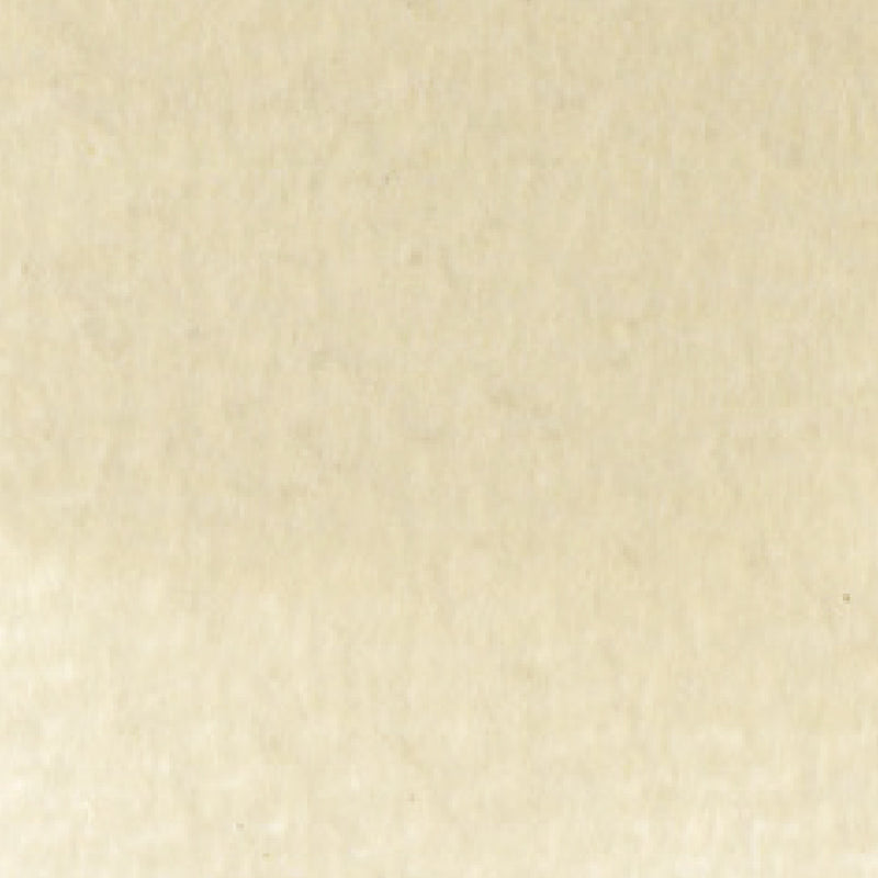 ZIG Kuretake - ZIG Clean Color Real Brush No. 607