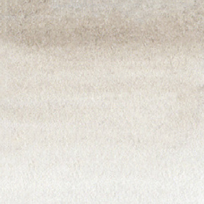 ZIG Kuretake - ZIG Clean Color Real Brush No. 901