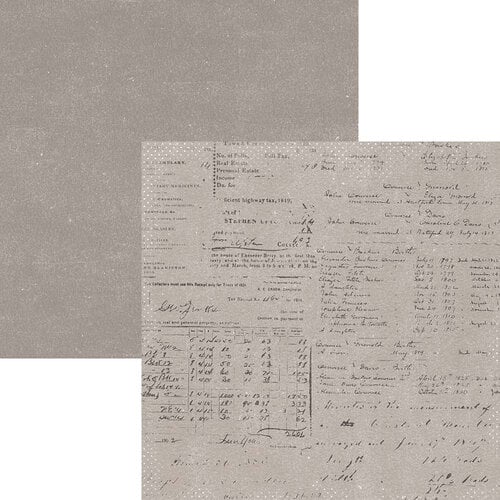 Elizabeth Craft Designs - Once In A Lifetime Collection - 12 x 12 Paper Pack - Once In a Lifetime