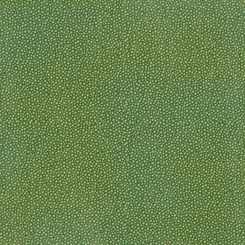 Graphic 45 - Wonder Of Oz - 12 x 12 Double Sided Paper - Emerald Green Pattern And Solid