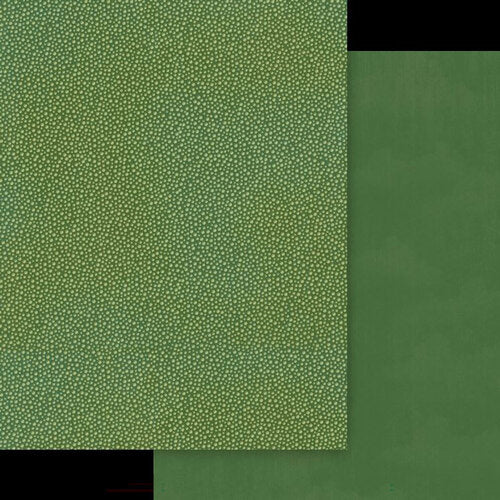 Graphic 45 - Wonder Of Oz - 8.5 x 11 Patterns And Solids Paper Pack