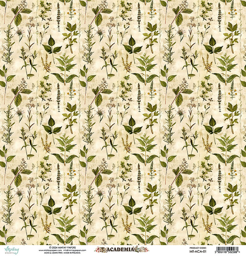 Mintay Papers - Academia Collection - 12 x 12 Double Sided Paper - 01