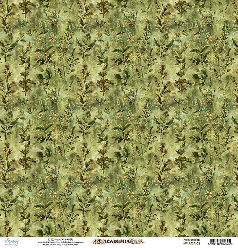 Mintay Papers - Academia Collection - 12 x 12 Double Sided Paper - 05