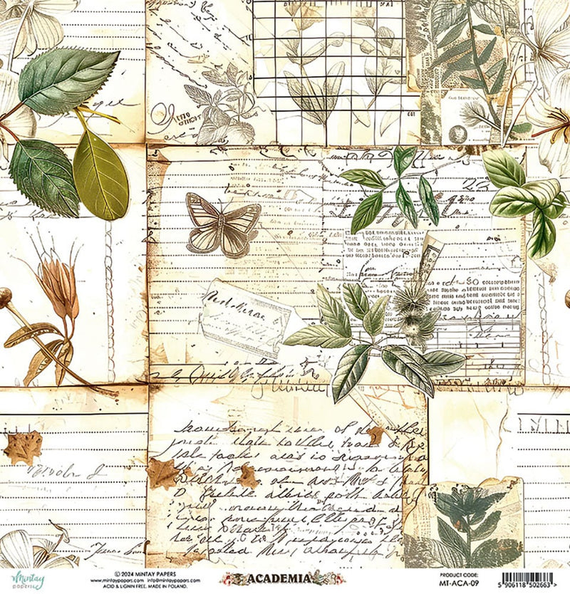 Mintay Papers - Academia Collection - 12 x 12 Double Sided Paper - Elements