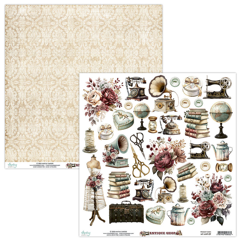 Mintay Papers - Antique Shop Collection - 12 x 12 Double Sided Paper - Elements