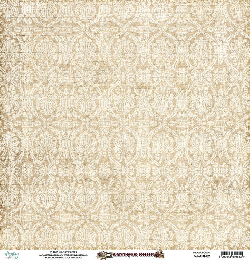 Mintay Papers - Antique Shop Collection - 12 x 12 Double Sided Paper - Elements