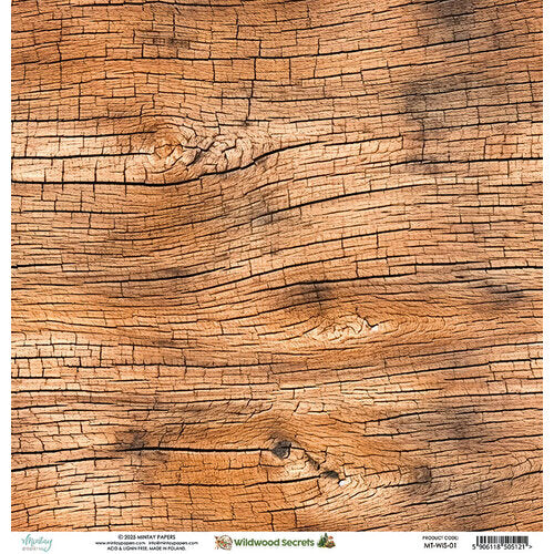 Mintay Papers - Wildwood Secrets Collection - 12 x 12 Double Sided Paper - 01