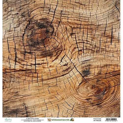 Mintay Papers - Wildwood Secrets Collection - 12 x 12 Double Sided Paper - 03