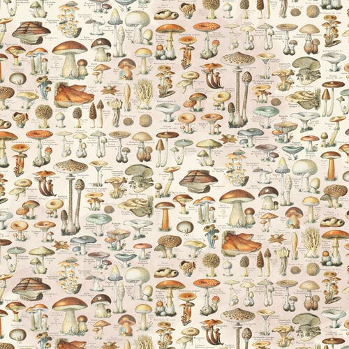 Simple Stories - Simple Vintage Woodlands Collection - 12 x 12 Double Sided Paper - Get Outdoors