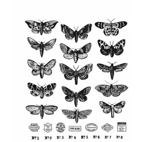 Stampers Anonymous - Tim Holtz - Cling Mounted Rubber Stamp Set - Moth Study