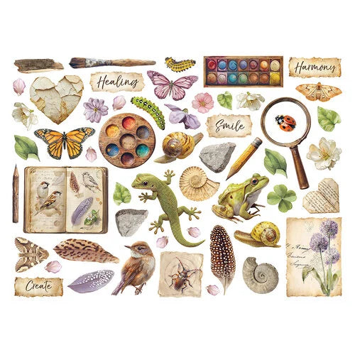 Stamperia - All Around - Assorted Die Cuts
