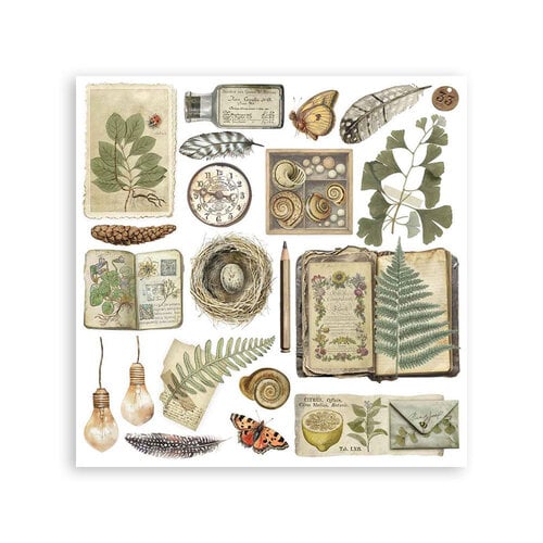 Stamperia - Stamperia - Herbarium Silvae - Rub-On Transfers - Assorted Pack