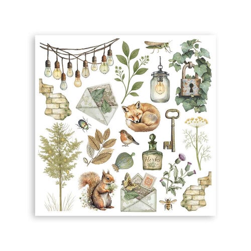 Stamperia - Stamperia - Herbarium Silvae - Rub-On Transfers - Assorted Pack