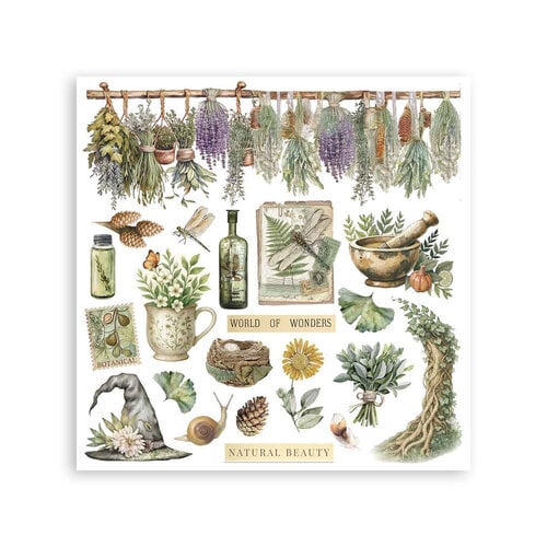 Stamperia - Stamperia - Herbarium Silvae - Rub-On Transfers - Assorted Pack