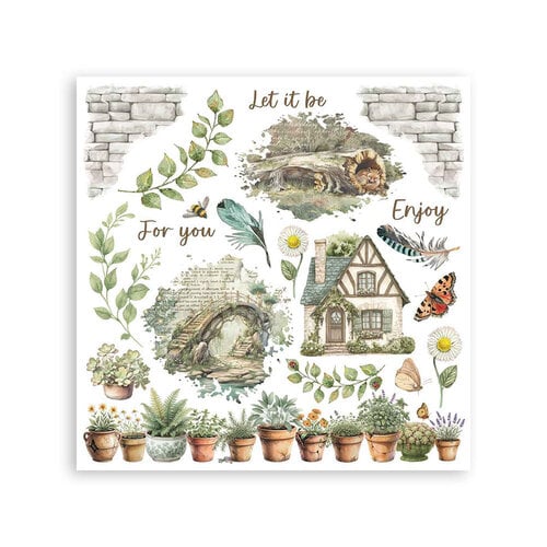 Stamperia - Stamperia - Herbarium Silvae - Rub-On Transfers - Assorted Pack