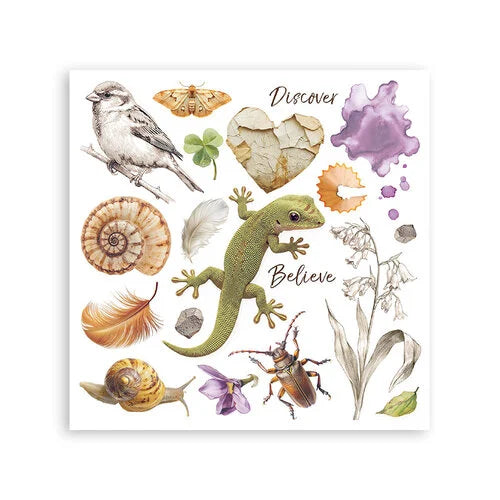 Stamperia - All Around - Rub-On Transfers - Assorted Pack