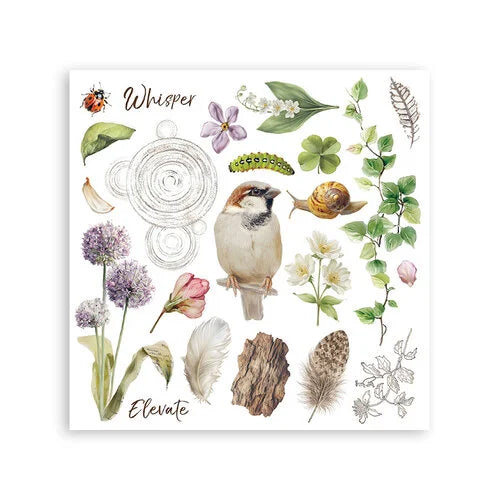 Stamperia - All Around - Rub-On Transfers - Assorted Pack