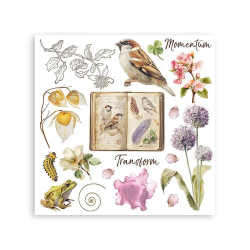 Stamperia - All Around - Rub-On Transfers - Assorted Pack