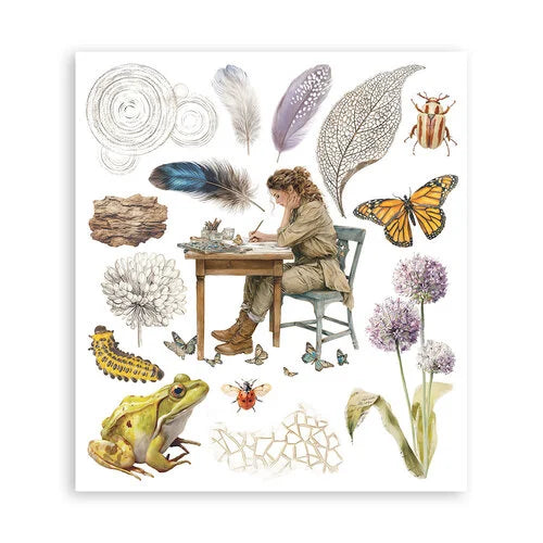 Stamperia - All Around - Rub-On Transfers