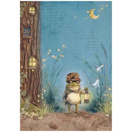 Stamperia - Hidden Grove Collection - A4 Rice Paper - Mr Frog