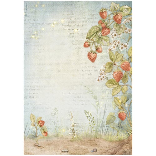 Stamperia - Hidden Grove Collection - A4 Rice Paper - Strawberries