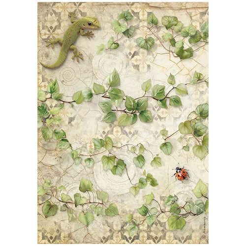 Stamperia - All Around - A4 Rice Paper - Ivy