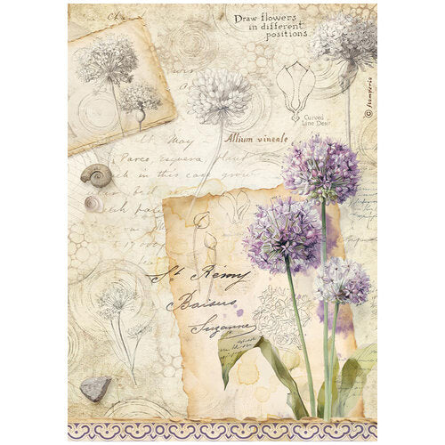 Stamperia - All Around - A4 Rice Paper - Allium