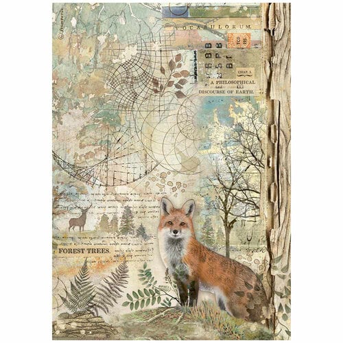Stamperia - Forest Collection - A4 Rice Paper - Fox