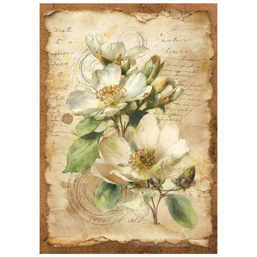 Stamperia - All Around - A6 Mini Rice Paper - 8 Sheets