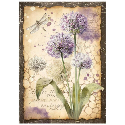 Stamperia - All Around - A6 Mini Rice Paper - 8 Sheets