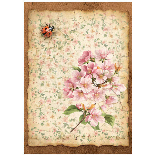 Stamperia - All Around - A6 Mini Rice Paper - 8 Sheets