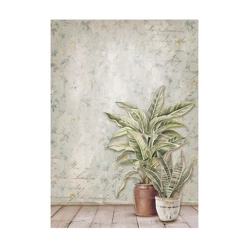 Stamperia - Golden Harmony Collection - A6 Rice Paper - Backgrounds